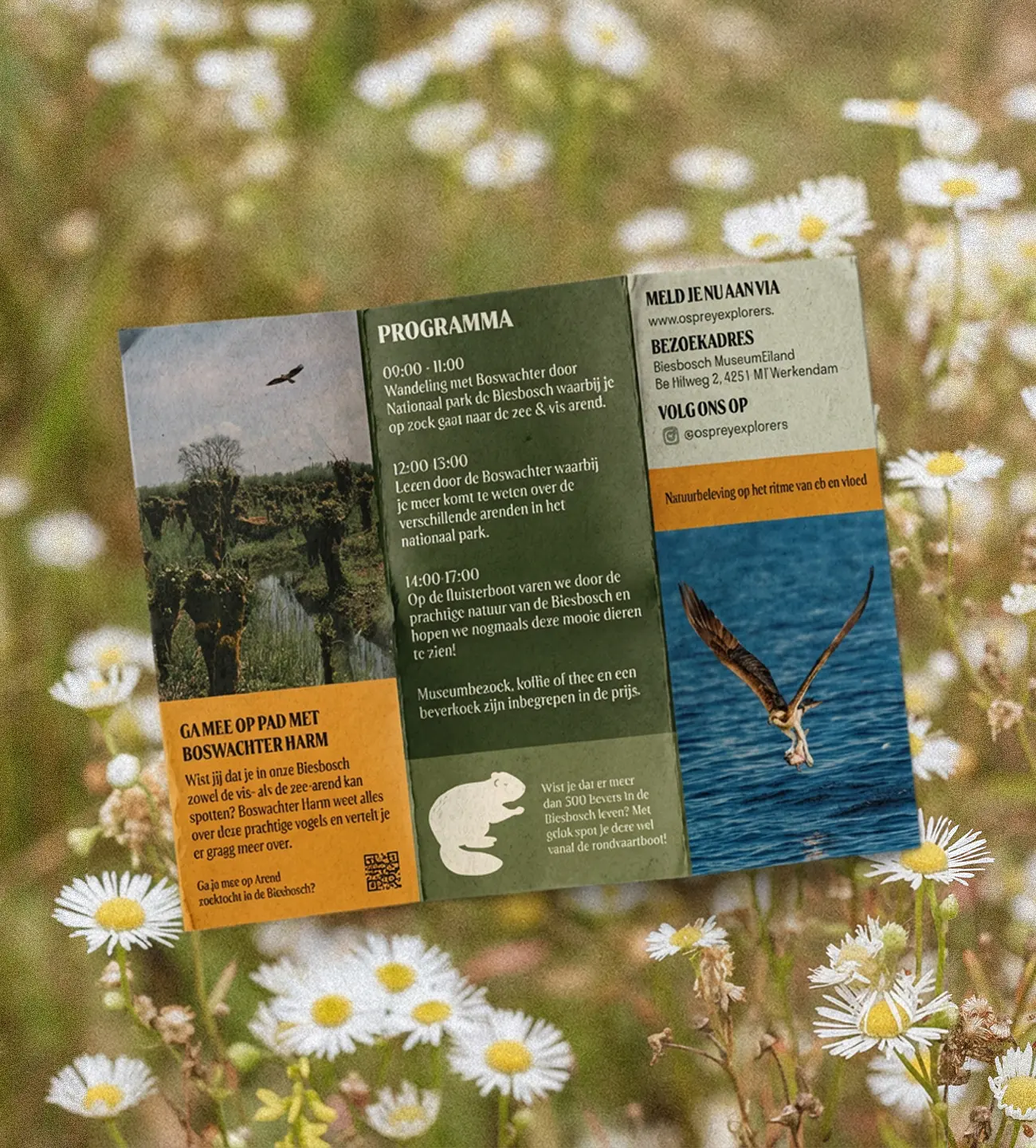 Biesbosch flyer